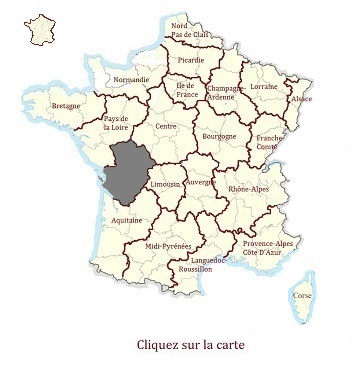 Poitou Charentes achat vente Château Médiéval de prestige a vendre
