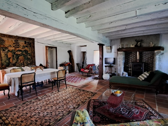 achat vente Ruines majestueuses médiévales et son logis a vendre  ISMH  Charroux , à proximité, 32km Vichy, 12km A71 ALLIER AUVERGNE