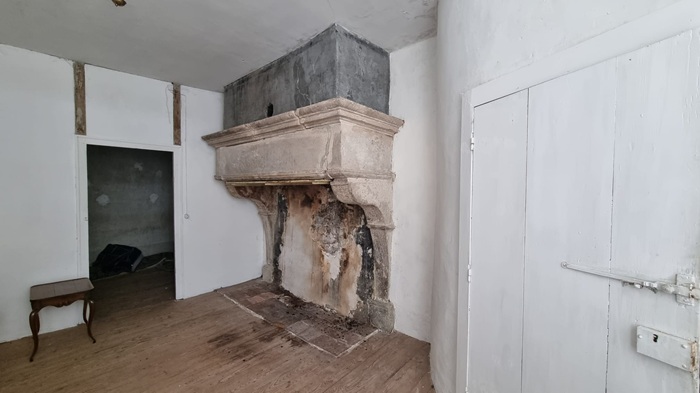 achat vente Hôtel Particulier Renaissance a vendre  inscrit Monument Historique , grande grange Bourbonne-les-Bains , dans un village Renaissance VOSGES LORRAINE