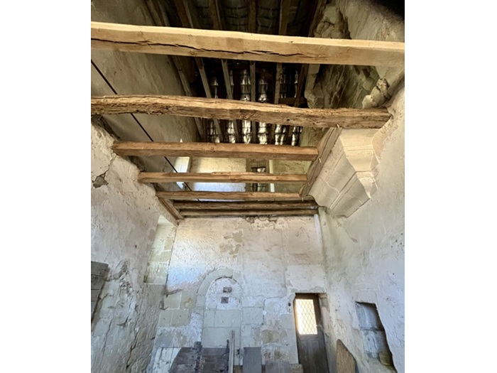 achat vente Maison forte Renaissance a vendre  classée Monument Historique , dépendances Saumur , à proximité, au cœur de son parc MAINE ET LOIRE PAYS DE LA LOIRE