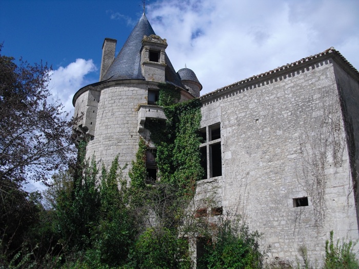 achat vente Forteresse Médiévale a vendre  ISMH à restaurer , dépendances, 2 maisons XXème, châtelet, douves Fontenay-le-Comte , à 13 Km, 45 Km de la Rochelle, limites du marais Poitevin VENDEE PAYS DE LA LOIRE