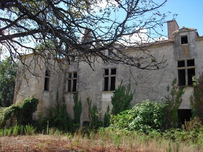 achat vente Forteresse Médiévale a vendre  ISMH à restaurer , dépendances, 2 maisons XXème, châtelet, douves Fontenay-le-Comte , à 13 Km, 45 Km de la Rochelle, limites du marais Poitevin VENDEE PAYS DE LA LOIRE