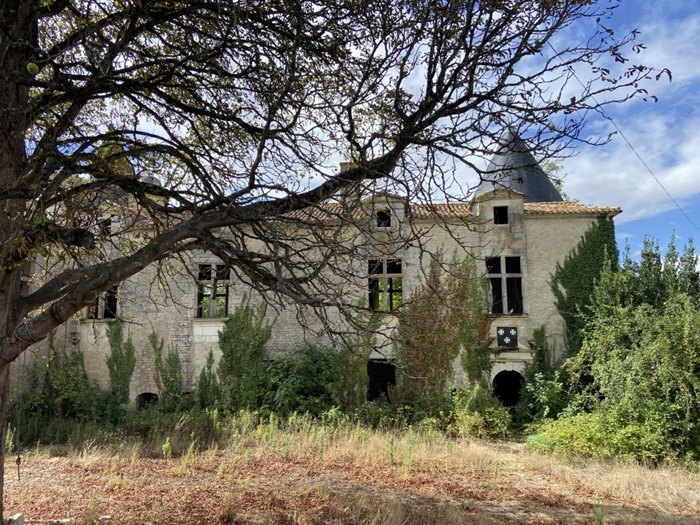 achat vente Forteresse Médiévale a vendre  ISMH à restaurer , dépendances, 2 maisons XXème, châtelet, douves Fontenay-le-Comte , à 13 Km, 45 Km de la Rochelle, limites du marais Poitevin VENDEE PAYS DE LA LOIRE