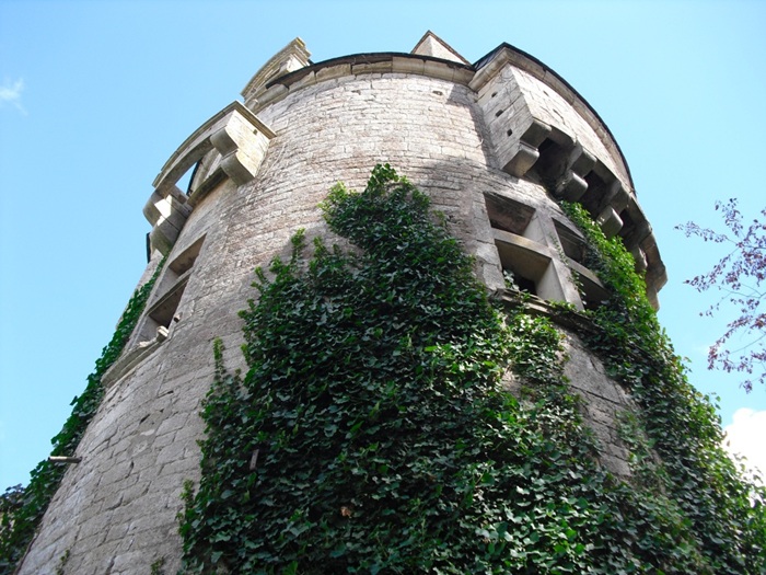 achat vente Forteresse Médiévale a vendre  ISMH à restaurer , dépendances, 2 maisons XXème, châtelet, douves Fontenay-le-Comte , à 13 Km, 45 Km de la Rochelle, limites du marais Poitevin VENDEE PAYS DE LA LOIRE