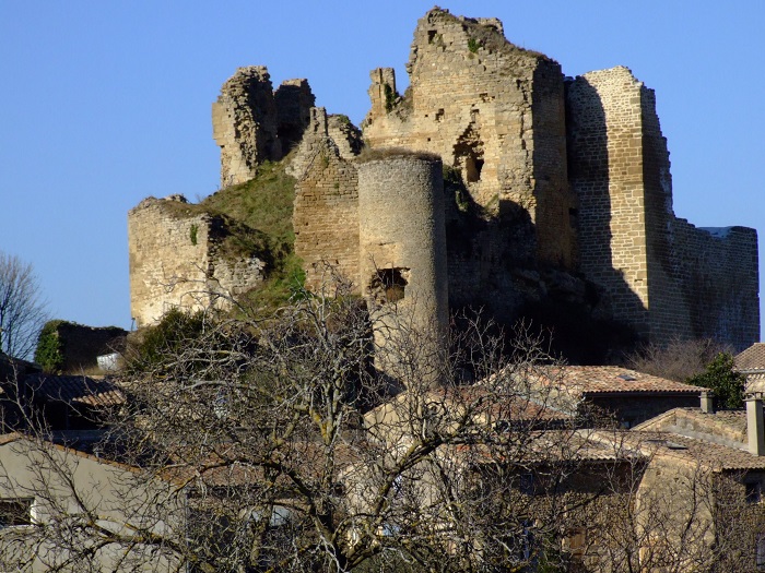 achat vente Ruines de Château Médiéval a vendre  inscrites MH  et 1,95ha de parcelles boisées en bordure de la Drôme Valence  DROME RHONE ALPES