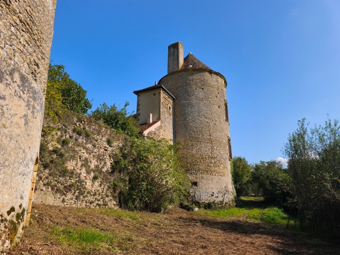 achat vente Tour Médiévale et Logis  a vendre  en grande partie restaurée , dépendances, colombier XVième Montigny-sur-Canne , position dominante NIEVRE BOURGOGNE