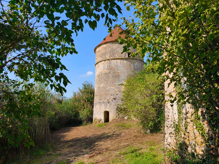 achat vente Tour Médiévale et Logis  a vendre  en grande partie restaurée , dépendances, colombier XVième Montigny-sur-Canne , position dominante NIEVRE BOURGOGNE