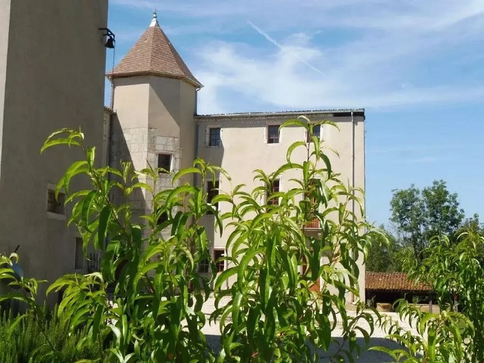 achat vente Château Médiéval a vendre  , dépendances Pont d'Ain , à 1h15 de Genève et 50 mn de Lyon AIN RHONE ALPES