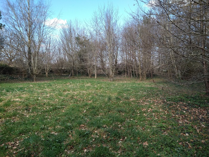 achat vente Manoir Médiéval dit 