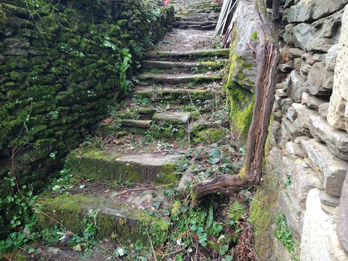 achat vente Demeure Médiévale a vendre  à restaurer  Brive  à 45 mn, 25 mn A20, en position dominante CORREZE LIMOUSIN