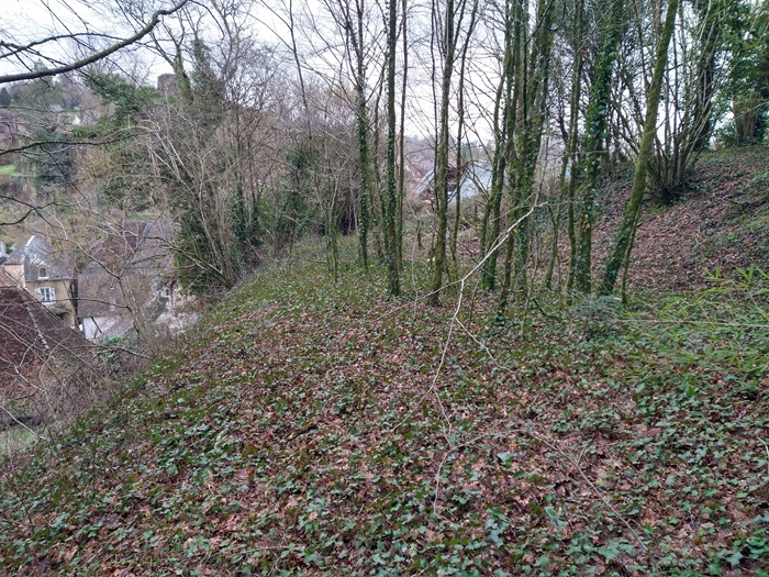 achat vente Demeure Médiévale a vendre  à restaurer  Brive  à 45 mn, 25 mn A20, en position dominante CORREZE LIMOUSIN