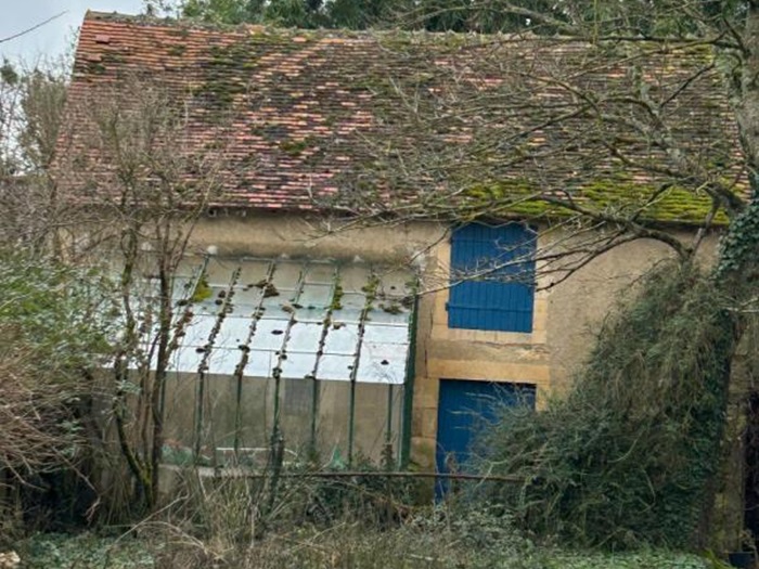 achat vente Demeure Médiévale a vendre  à restaurer , dépendance Germigny l'Exempt  CHER CENTRE
