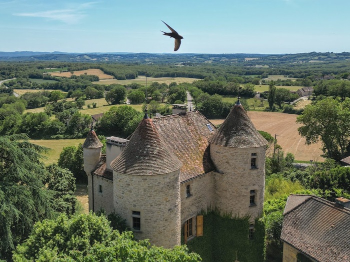 achat vente Château Médiéval a vendre  restauré , dépendances, piscine Parisot , proche Saint-Antonin Noble Val TARN ET GARONNE MIDI PYRENEES