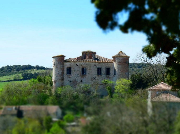 achat vente Chateau Médiéval a vendre  ISMH , dépendances ISMH Secteur Carcassonne , en position dominante AUDE LANGUEDOC ROUSSILLON